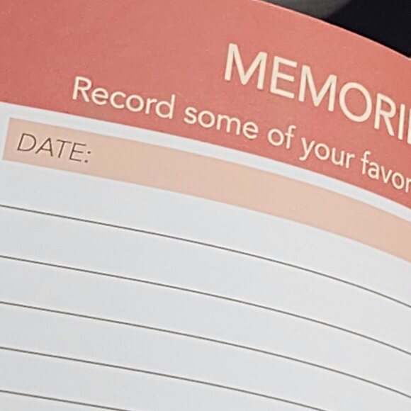 Molly & Rex A Guided Journal for You and Your Cat 208pg Softcover Book Daily - Picture 13 of 16